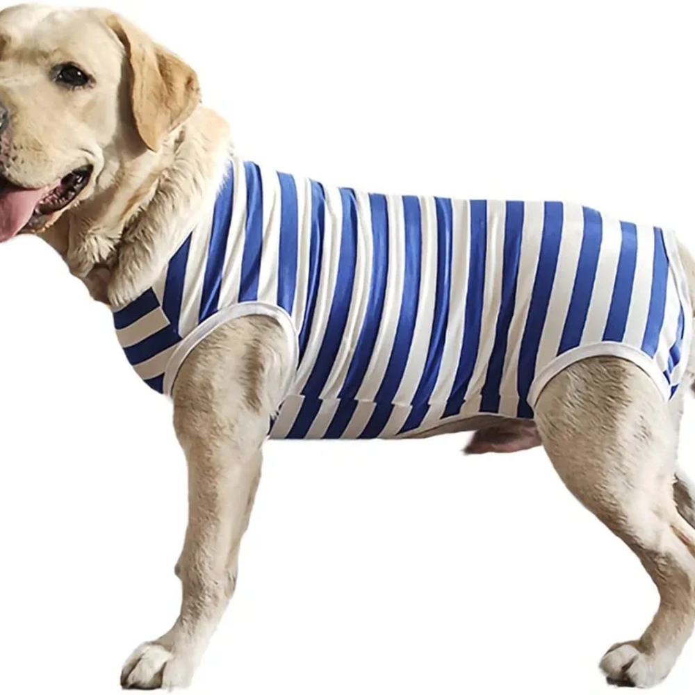 Dog’s Recovery Suit Post Surgery Shirt for Female Male Dog, E-Collar Alternative